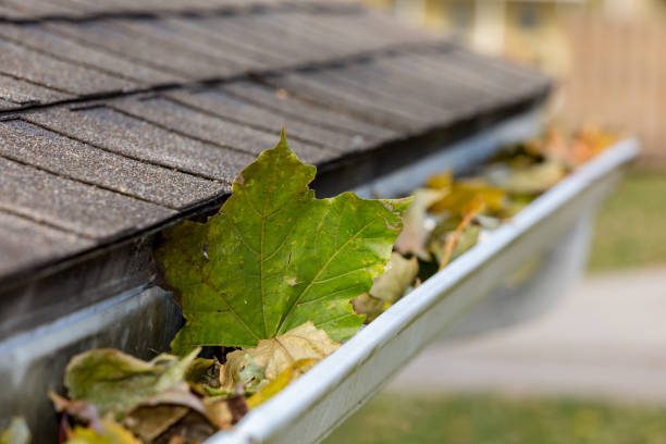 4 Common Mistakes When Cleaning Your Gutters