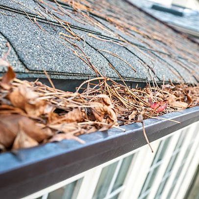 What Happens When You Don’t Clean Your Gutters?
